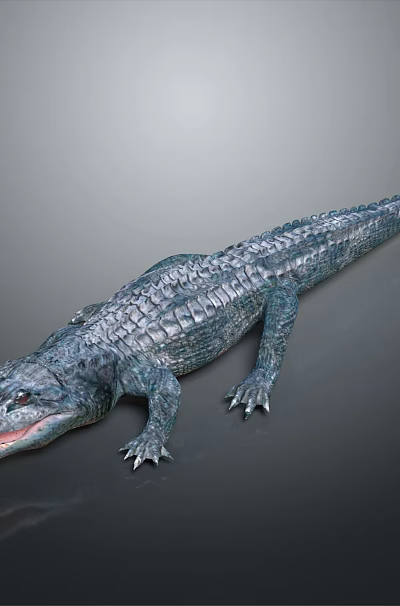 Reptile Crocodile 3D Model With Blue Scales Open Mouth On Dark Background 3d model