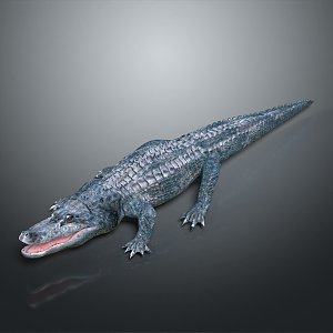 Crocodile Alligator Nile Crocodile carnivore reptile cold-blooded animal reptile 3d model