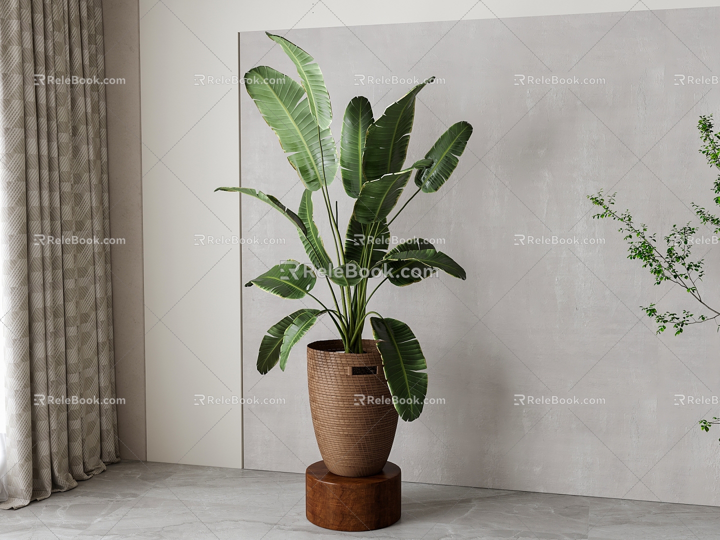 plantain plant potted plant 3d model