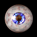Detailed Human Eye Anatomical View With Iris Pupil And Vascular Structures 3d model