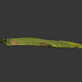 Detailed 3D Terrain Model With Green Vegetation And Yellow Land Undulating Topography