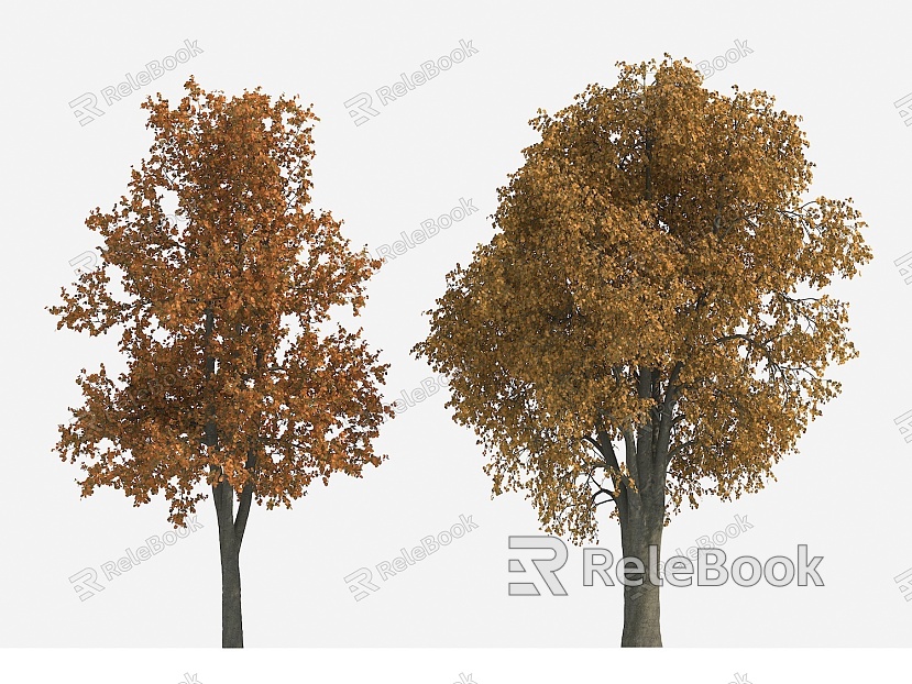 Tree Big Tree Yellow Leaf Tree Autumn Tree Plant model