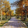 Autumn Park Modern Park 3d model