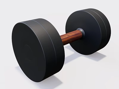 Sports Fitness Dumbbell With Black Weight Plates And Wooden Handle 3d model