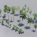 Diverse Green Plant Combinations with Trees Shrubs and Vines for Landscape Design