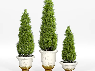 Conical Green Garden Plants In White Planters With Gold Base For Home Garden Decor 3d model