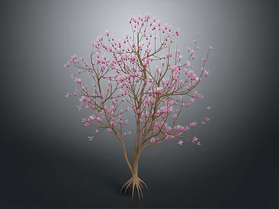 Tree with Pink Flowers Slender Trunk Branches and Exposed Roots on Dark Background 3d model