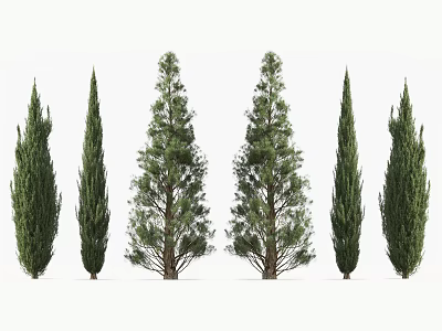Various Types of Arbor Trees with Different Forms and Green Foliage for Garden Landscape Decoration 3d model