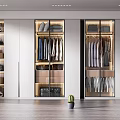 Modern wardrobe combination 3d model