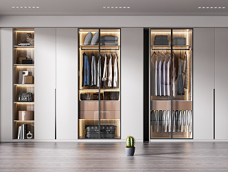 Modern wardrobe combination 3d model