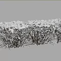 Cotoneaster Lucidus Winter Decorative Ornament Set With 5 Elements 1.3m Height