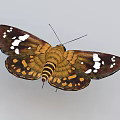 modern moth 3d model