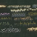 Illuminated Inflatable Decorations in Various Colors Arranged in Patterns on Grassland