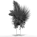 Decorative Tropical Potted Plants With Palm Leaves Ferns And Red Green Foliage On Black Stand