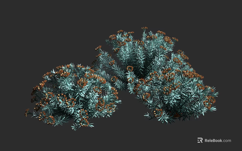 Bushy Shrubs With Blue Green Foliage And Orange Flowers For Garden Landscaping 3d model 