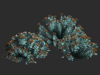 Bushy Shrubs With Blue Green Foliage And Orange Flowers For Garden Landscaping 3d model