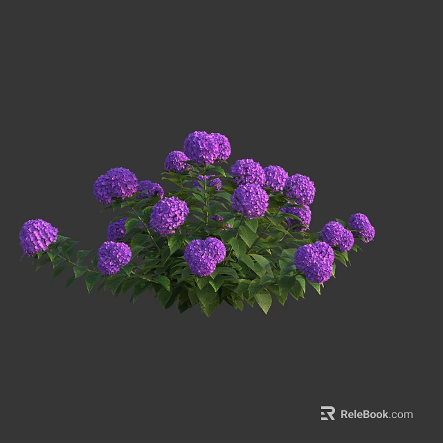 Vibrant Purple Hydrangea Bush With Lush Green Leaves And Blooming Flowers 3d model 