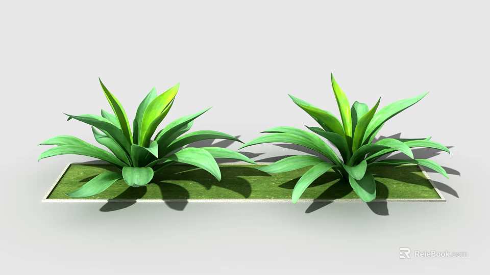 Two Green Leafy Plants With Broad Leaves On Rectangular Green Base 3d model 