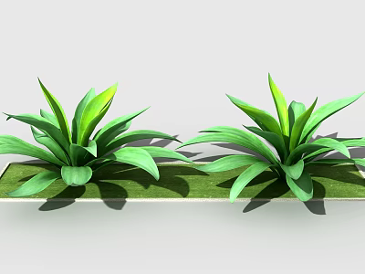 Two Green Leafy Plants With Broad Leaves On Rectangular Green Base 3d model
