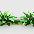 Two Green Leafy Plants With Broad Leaves On Rectangular Green Base 3d model