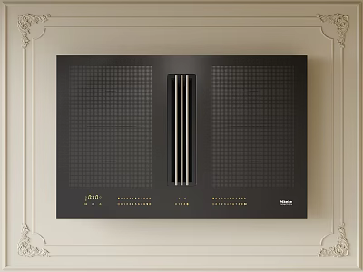 Modern Black Built In Kitchen Appliances With Elegant Decorative Frame 3d model