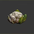 Fresh Cauliflower Head with Green Leaves and White Florets as Nutritious Vegetable Ingredient