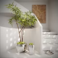 Potted Bonsai Plant With Green Leaves In Silver Metallic Pot By White Staircase