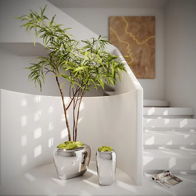Potted Bonsai Plant With Green Leaves In Silver Metallic Pot By White Staircase 3d model