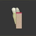 Animated Game Character Dental Anatomy Display With Healthy Decayed And Treated Teeth
