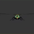 Black and Yellow Striped Dragonfly With Green Glowing Eyes Transparent Wings on Black Background