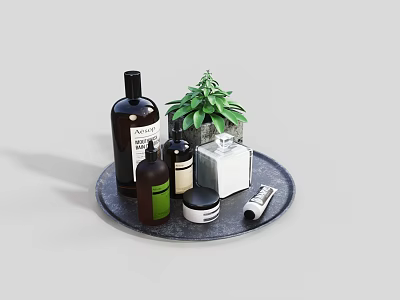 Bathroom Accessories Including Glass Bottles Small Green Plant Square Container and Cosmetic Tube on Tray 3d model