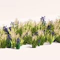Lush Green Grass And Purple Flowers In Decorative Garden Plant