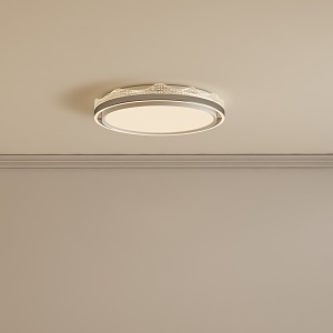 Simple ceiling lamp 3d model