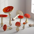 Fresh Red and White Spotted Mushroom Vegetables in Bright White Room With Natural Light