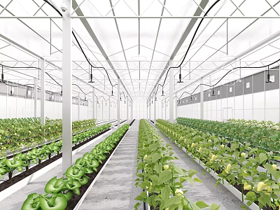 Industrial Plant Interior Design With Rows Of Green Plants Metal Frame And Ceiling Lights 3d model