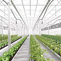 Industrial Plant Interior Design With Rows Of Green Plants Metal Frame And Ceiling Lights