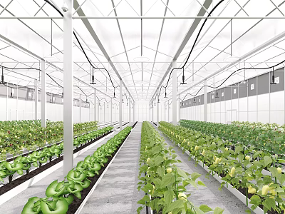 Industrial Plant Interior Design With Rows Of Green Plants Metal Frame And Ceiling Lights 3d model