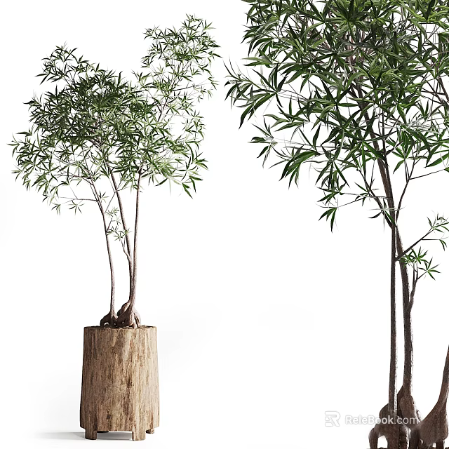 Bonsai Potted Plant with Slender Trunks Wooden Stump Base and Lush Green Foliage 3d model 