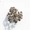 Elegant Variegated Foliage Plant With Pink And Green Leaves For Indoor Decoration