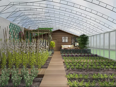 Industrial Greenhouse With Transparent Roof Structure Wooden Walkway And Organized Plant Beds 3d model