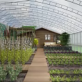 Industrial Greenhouse With Transparent Roof Structure Wooden Walkway And Organized Plant Beds