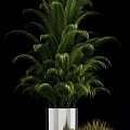 Stylish Bonsai Potted Plants With Lush Green Foliage Silver Metallic Pots And Decorative Display Stands