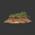 Modern Natural Landscape Model With Rocky Terrain Green Grass And Small Bridge Structure