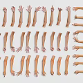 Human Arms And Hands In Various Poses Arranged On Light Background 3d model