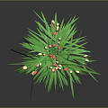 Lush Green Plant With Long Leaves And Clusters Of Small Yellow Red Flowers