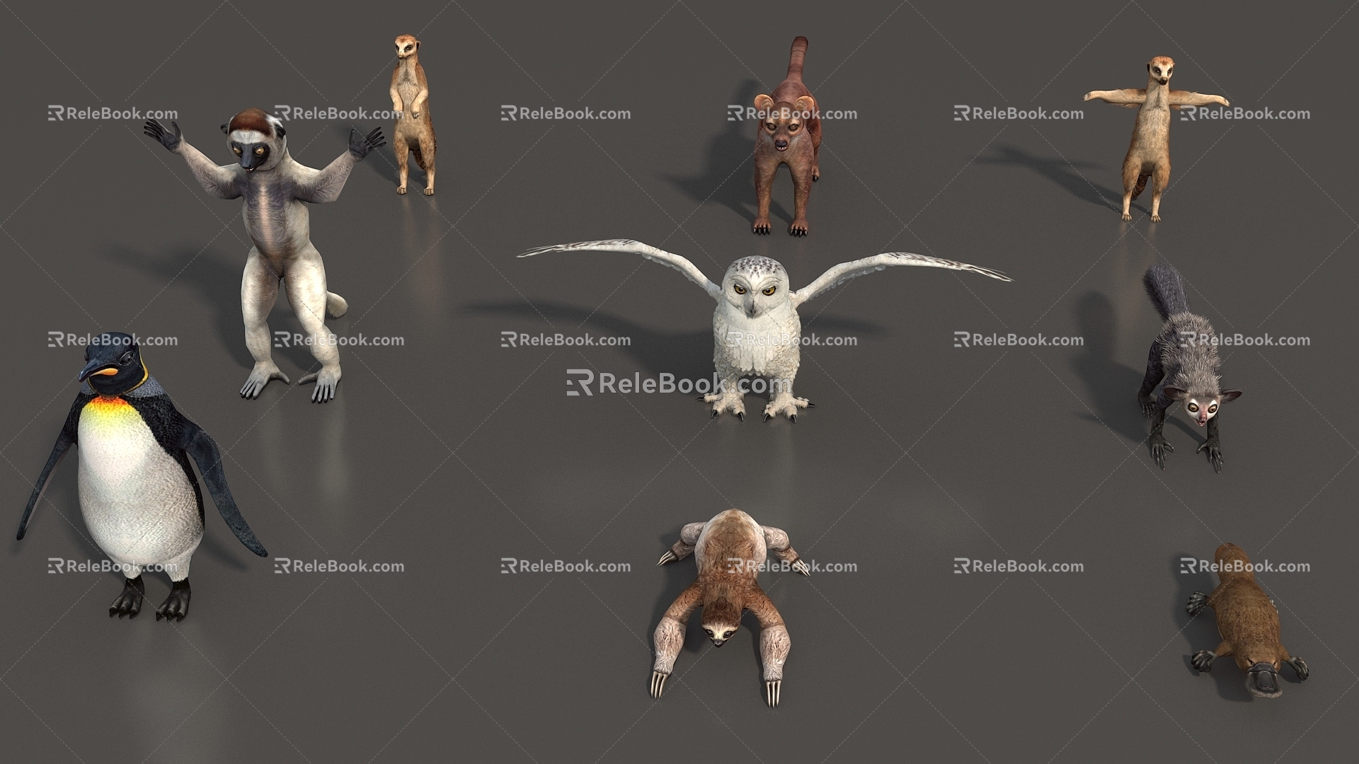 Animal Mammal Low Model Animal Low Face Number Animal Game Animal Animal Simple Model Realistic Animal Penguin Owl Sloth Otter 3d model