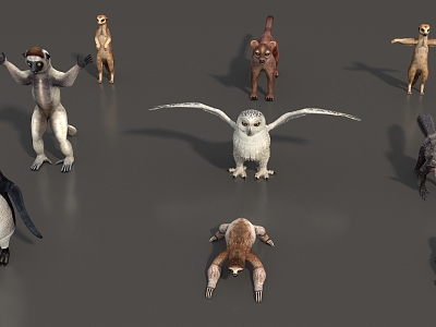 Animal Mammal Low Model Animal Low Face Number Animal Game Animal Simple Model Realistic Animal Penguin Owl Sloth Otter model