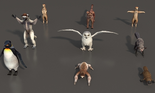 Animal Mammal Low Model Animal Low Face Number Animal Game Animal Simple Model Realistic Animal Penguin Owl Sloth Otter 3d model