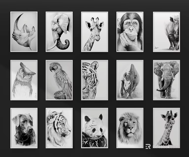 Collection of Various Animal Drawings Featuring Rhinoceros Elephant Giraffe Lion and Tiger 3d model 