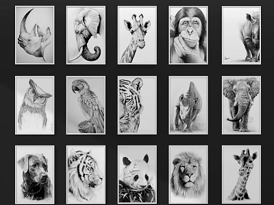Collection of Various Animal Drawings Featuring Rhinoceros Elephant Giraffe Lion and Tiger 3d model